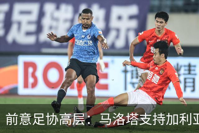 前意足协高层：马洛塔支持加利亚尼竞选足协主席，意甲已分裂
